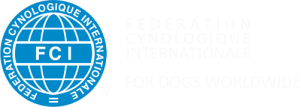 logo-FCI