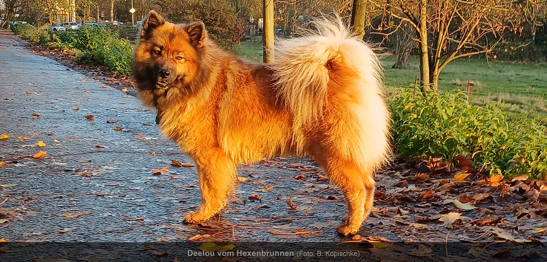 Hauptslider-HP-2025-D1