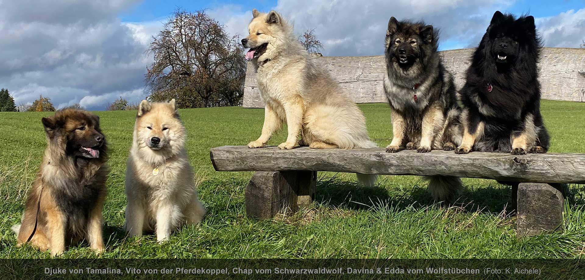 Hauptslider-HP-2025-D2