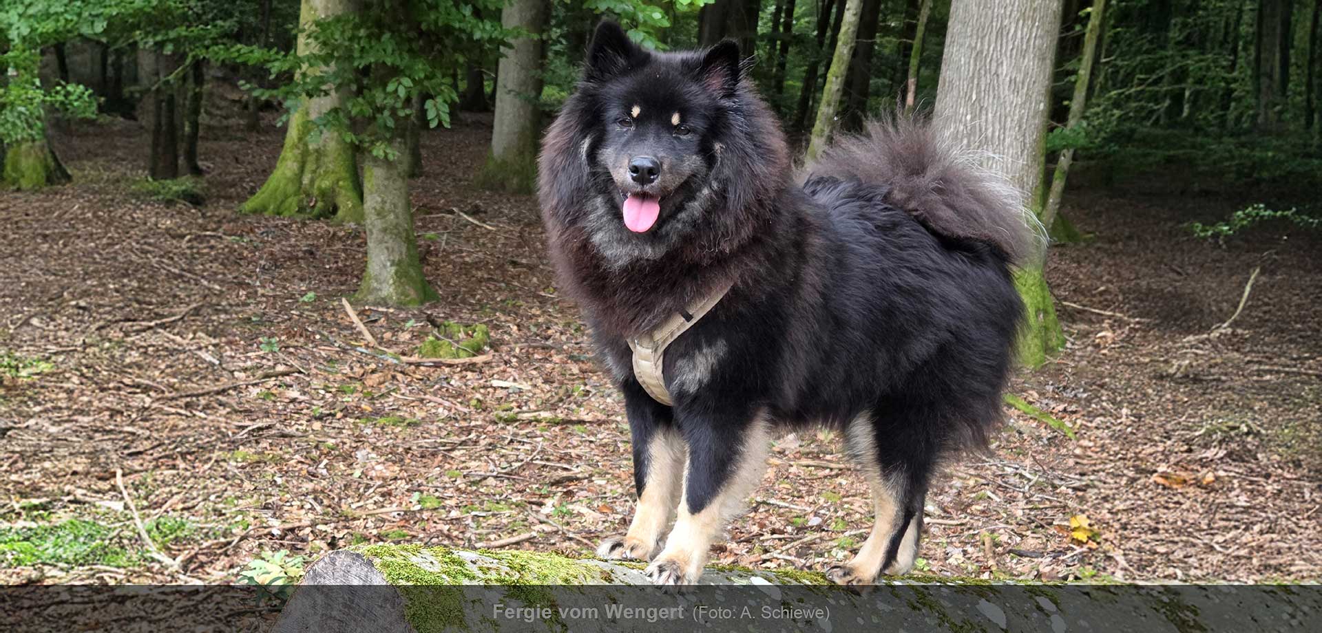 Hauptslider-HP-2025-D3