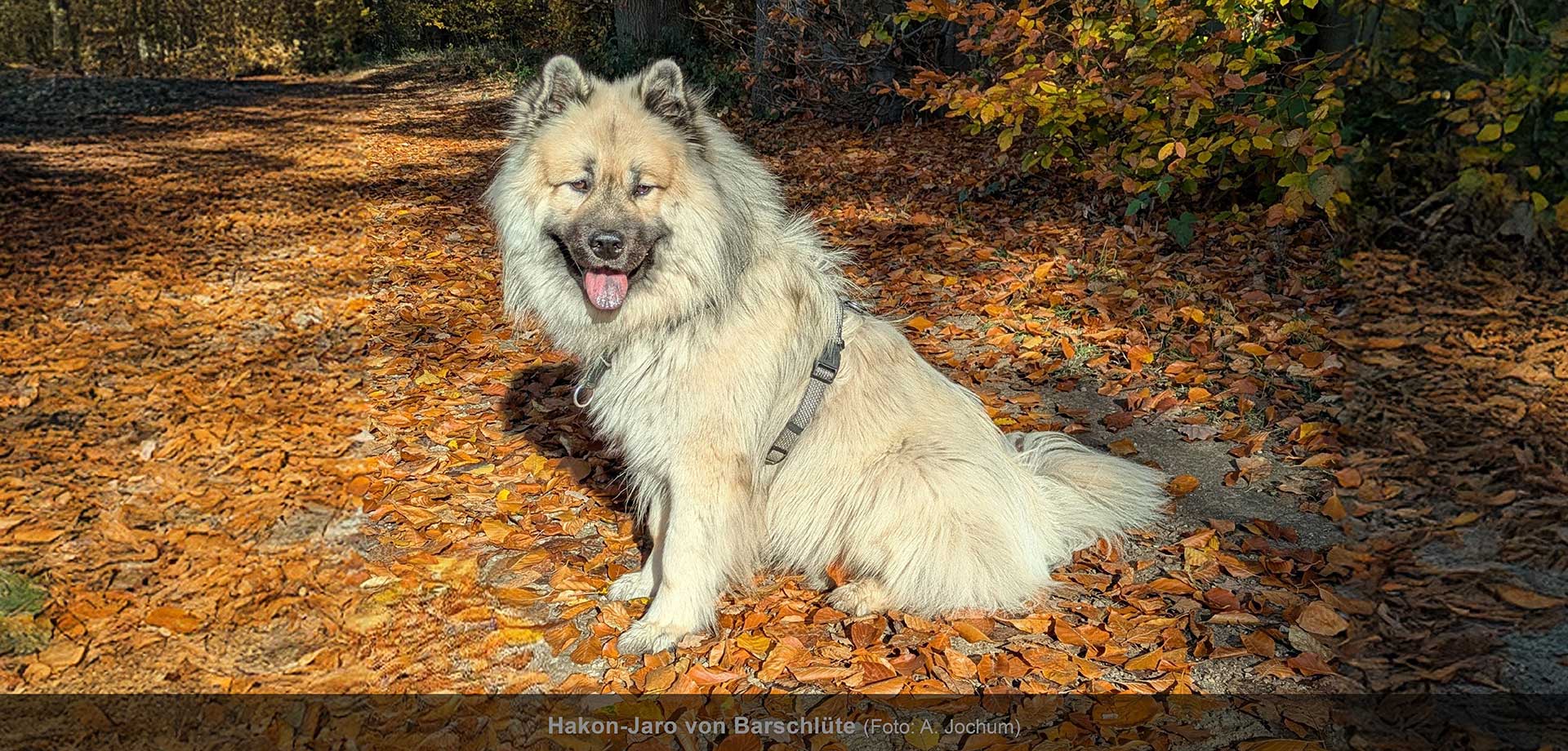 Hauptslider-HP-2025-D4