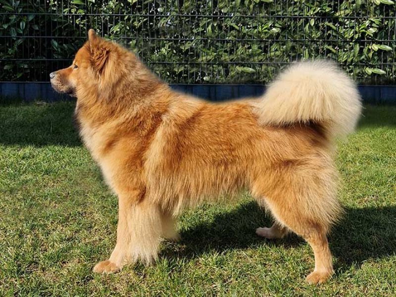 Arthos-Bruno-von-der-Schmalen-Burg