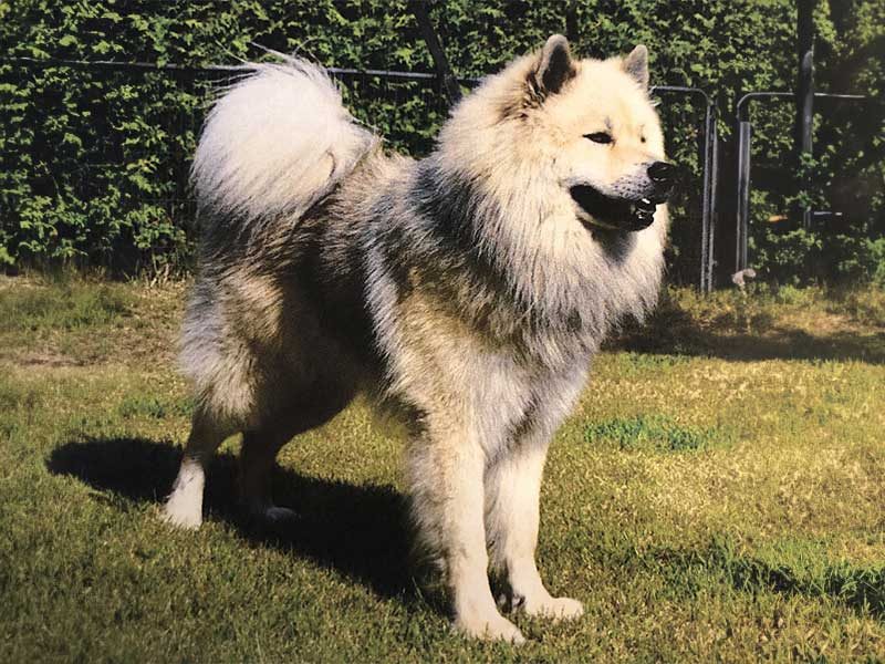 Balou-vom-maaerkischen-Landhaus Balou-vom-maaerkischen-Landhaus