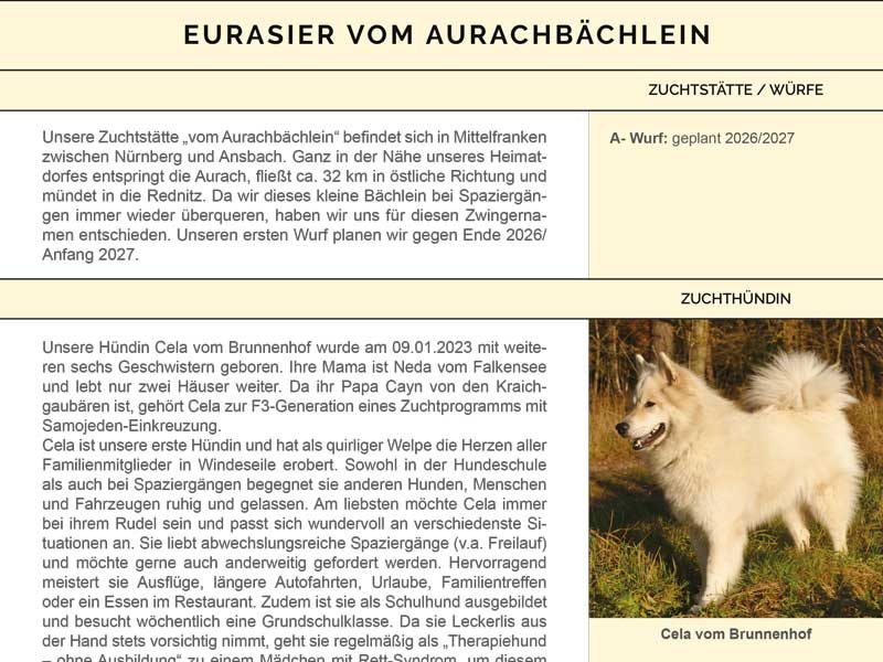 Eurasier-vom-Aurachbaechlein