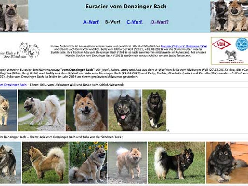Eurasier-vom-Denzinger-Bach