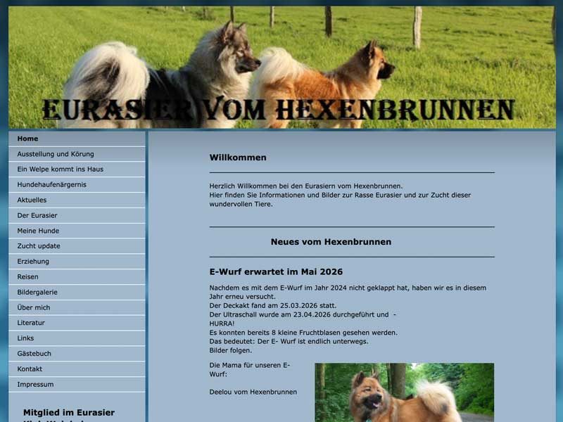 Eurasier-vom-Hexenbrunnen