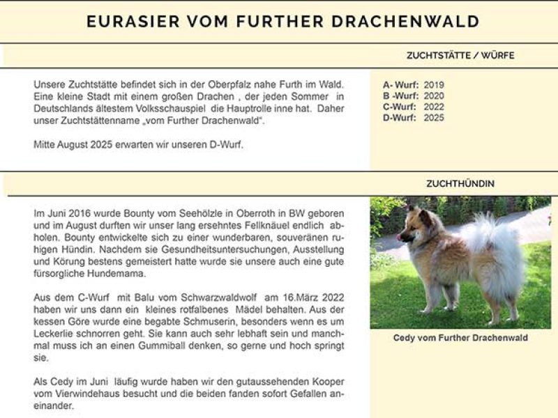 KV-vom-Further-Drachenwald