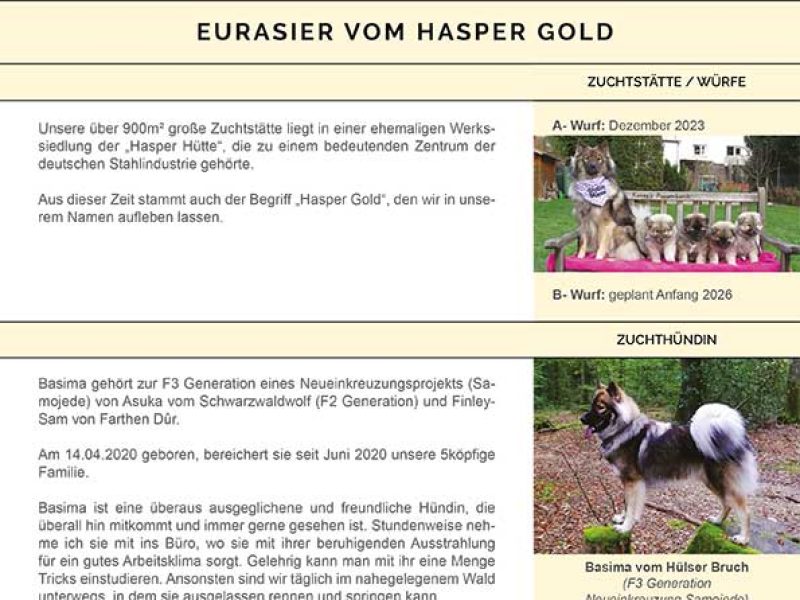 KV-vom-Hasper-Gold-25