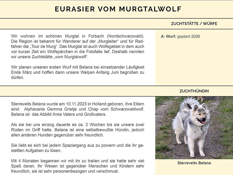 KV-vom-murgtalwolf