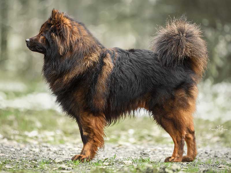 B-Mogli-vom-Doberaner-Land B-Mogli-vom-Doberaner-Land