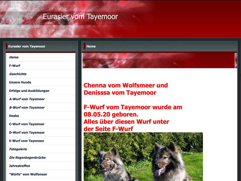 Eurasier-vom-Tayemoor Eurasier-vom-Tayemoor