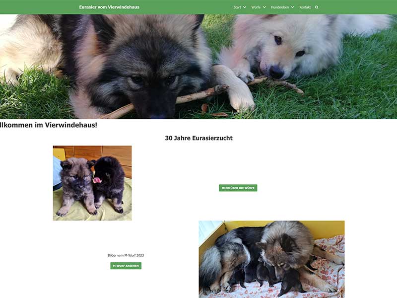 Eurasier-vom-Vierwindehaus Eurasier-vom-Vierwindehaus
