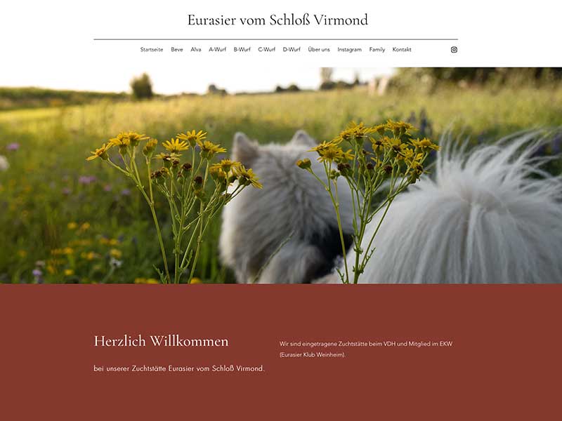 Eurasier-vom-schloss-virmond Eurasier-vom-schloss-virmond