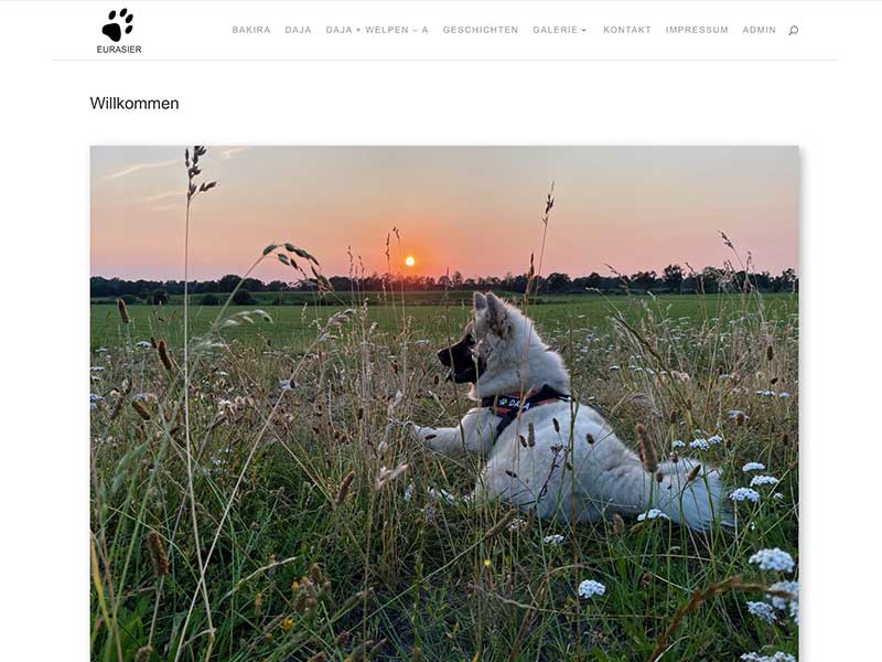 Eurasier-vom-schoensten-Dorf Eurasier-vom-schoensten-Dorf