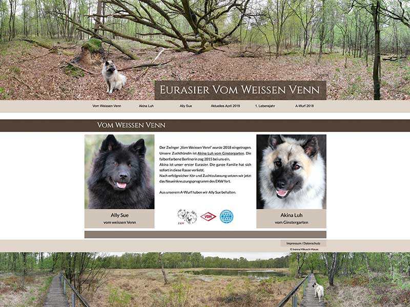 Eurasier-vom-weissen-venn Eurasier-vom-weissen-venn