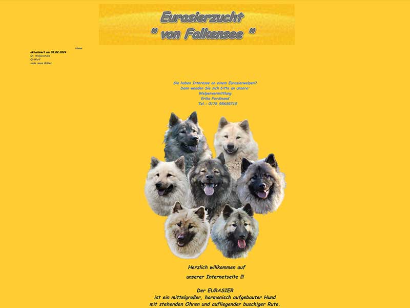Eurasier-von-Falkensee Eurasier-von-Falkensee