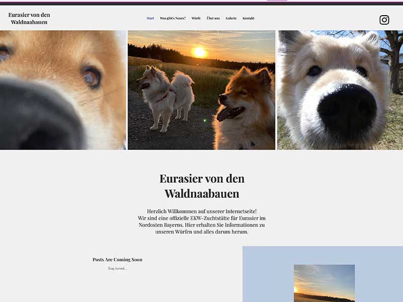 Eurasier-von-den-Waldnaabauen Eurasier-von-den-Waldnaabauen