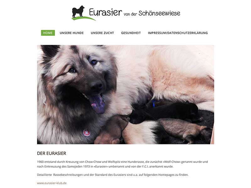 Eurasier-von-der-Schoenseewiese Eurasier-von-der-Schoenseewiese