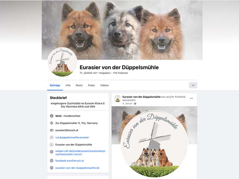 Eurasier-von-der-dueppelsmuehle Eurasier-von-der-dueppelsmuehle