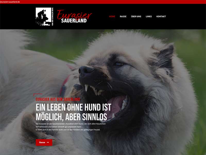 Eurasier-von-der-schmalen-Burg Eurasier-von-der-schmalen-Burg