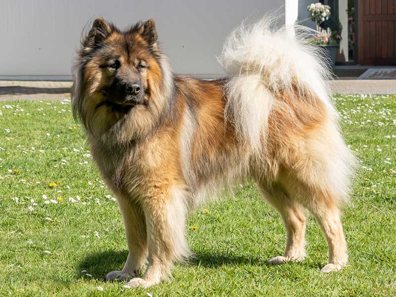 Finley-Sam-von-farthen-dur Finley-Sam-von-farthen-dur