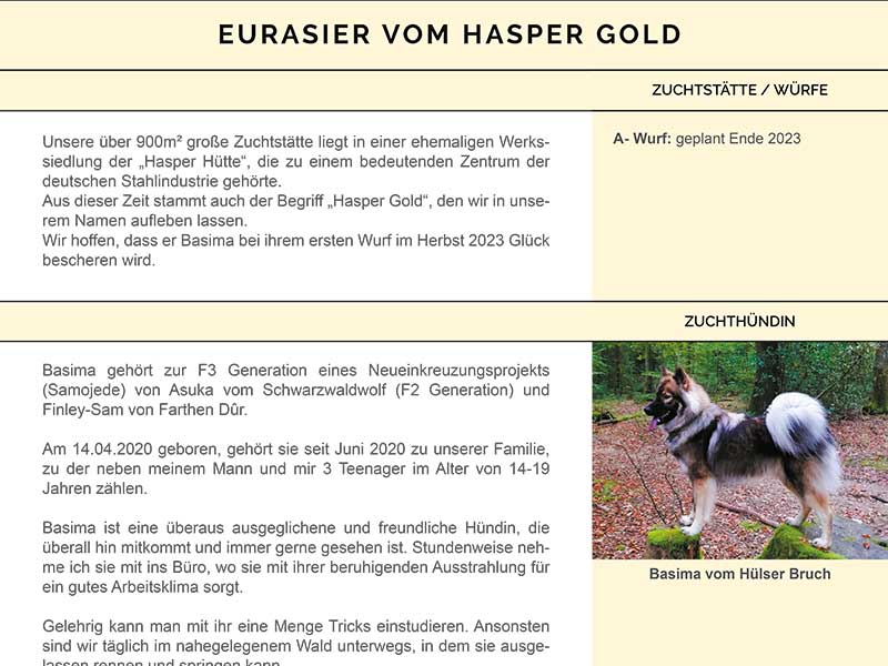 KV-vom-Hasper-Gold KV-vom-Hasper-Gold