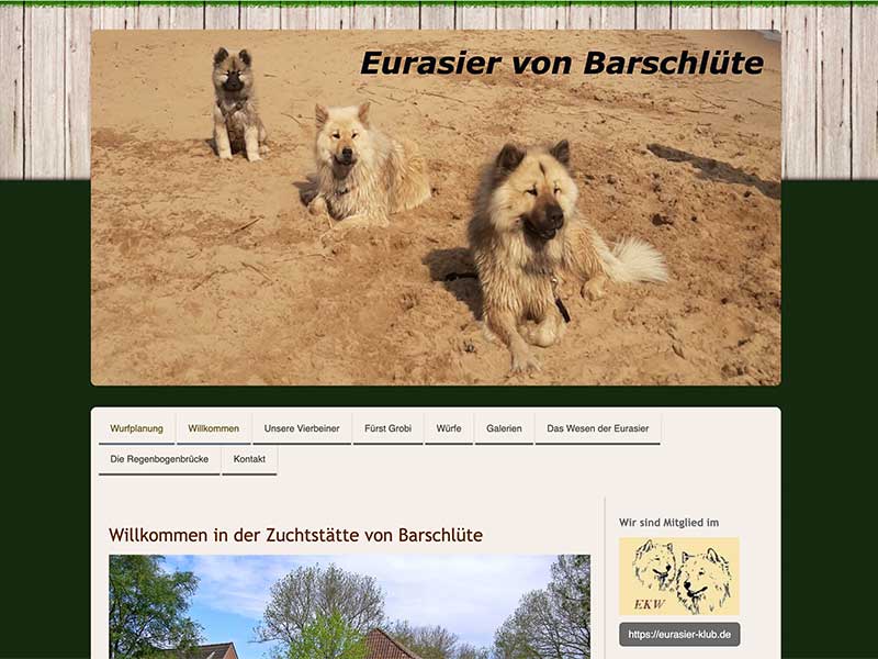 Eurasier-von-Barschluete Eurasier-von-Barschluete