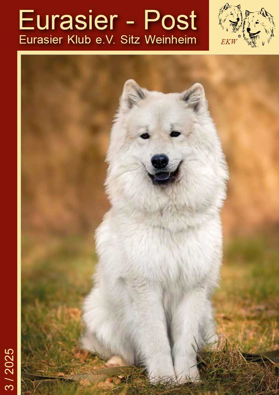 EP3-2025-Titel-s EP3-2025-Titel-s