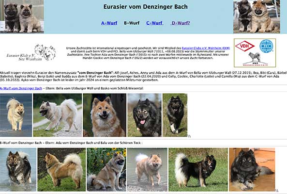 Eurasier-vom-Denzinger-Bach