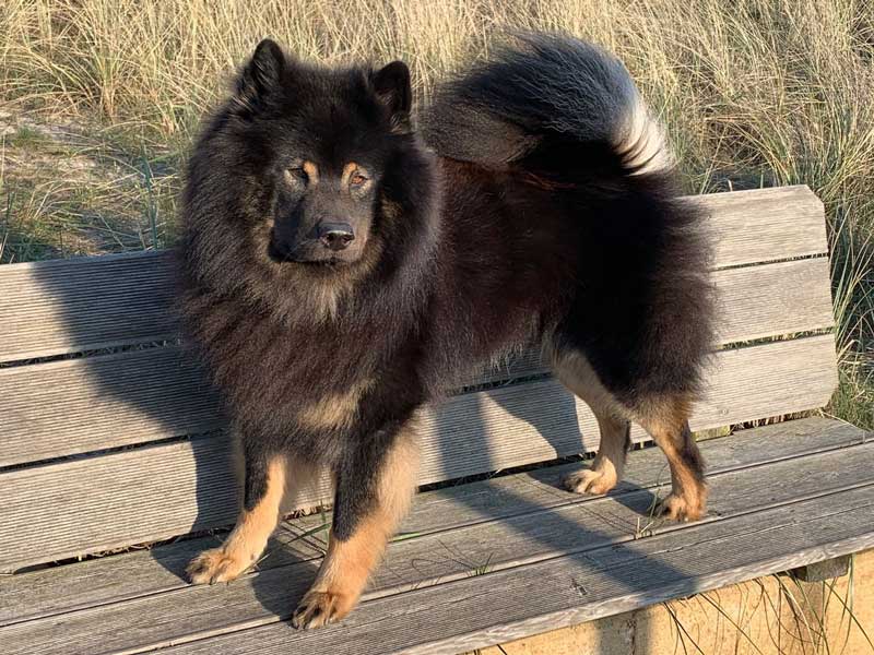 Aiko-vom-Tal-der-Muehlen Aiko-vom-Tal-der-Muehlen