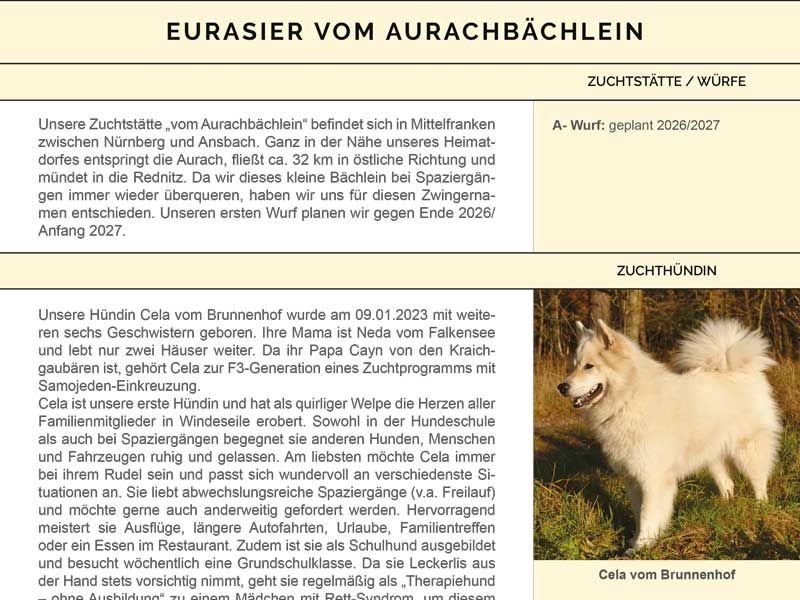 Eurasier-vom-Aurachbaechlein